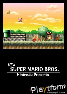 New Super Mario Bros. (DS)