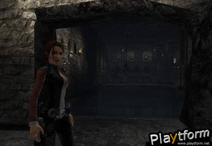 Tomb Raider: Legend (PC)