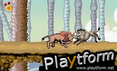 The Wild (Game Boy Advance)