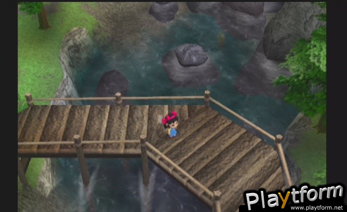 River King: A Wonderful Journey (PlayStation 2)