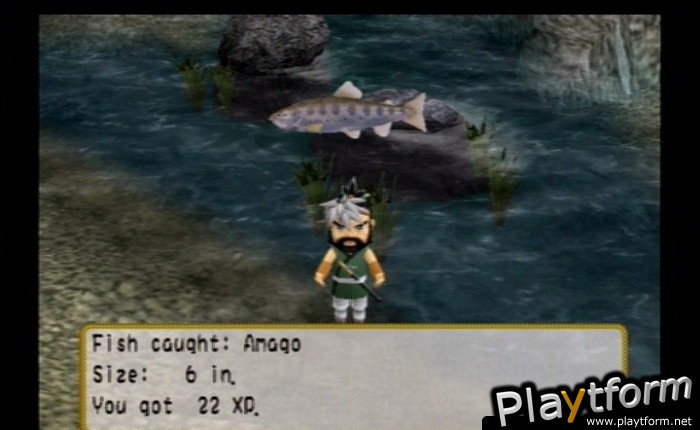 River King: A Wonderful Journey (PlayStation 2)