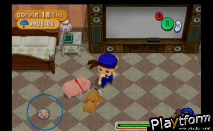 Harvest Moon: Magical Melody (GameCube)