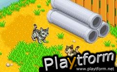 Catz (Game Boy Advance)