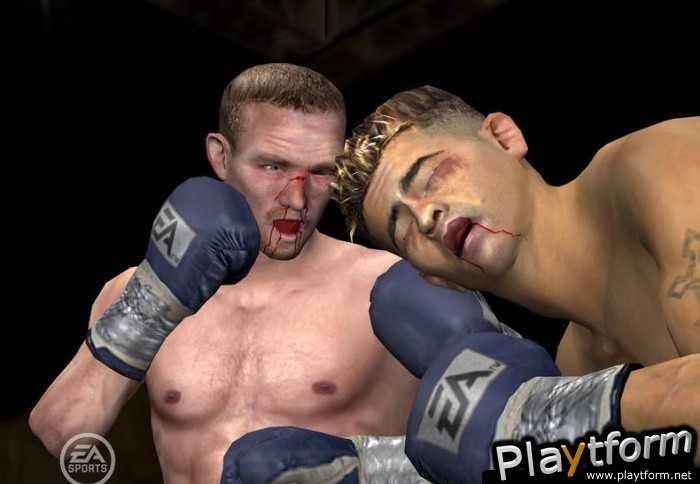 Fight Night Round 3 (PlayStation 2)