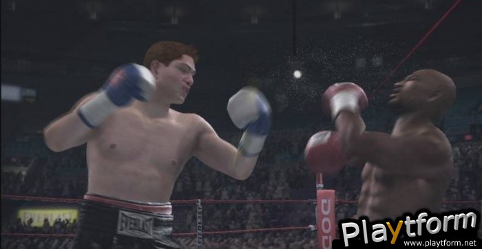 Fight Night Round 3 (Xbox 360)