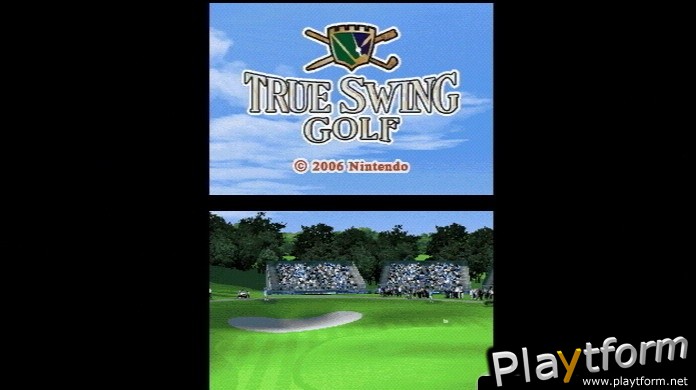 True Swing Golf (DS)