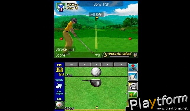 True Swing Golf (DS)