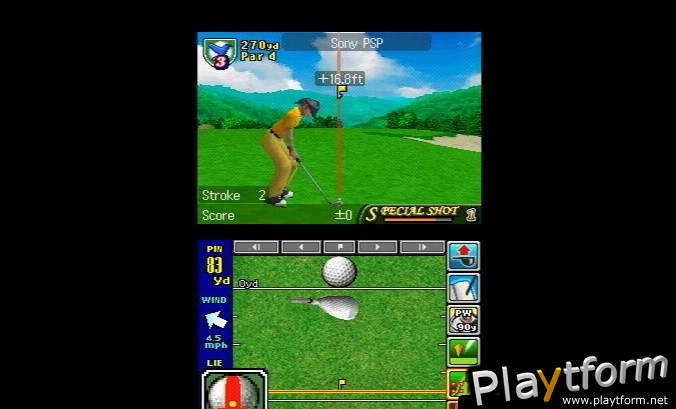 True Swing Golf (DS)