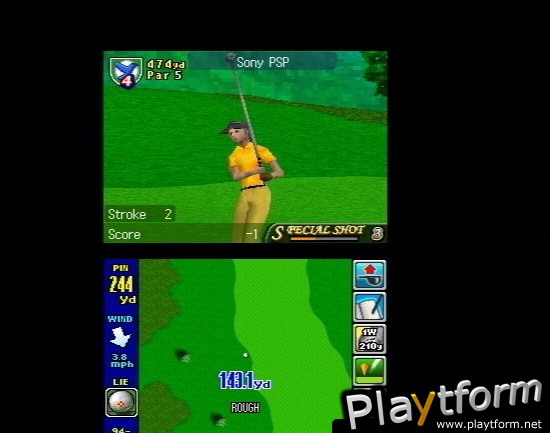 True Swing Golf (DS)