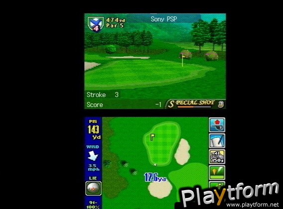 True Swing Golf (DS)