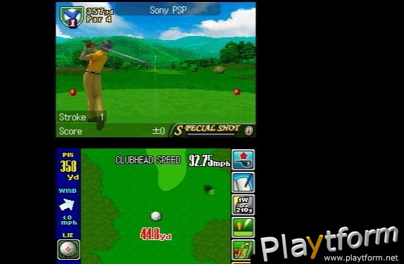 True Swing Golf (DS)