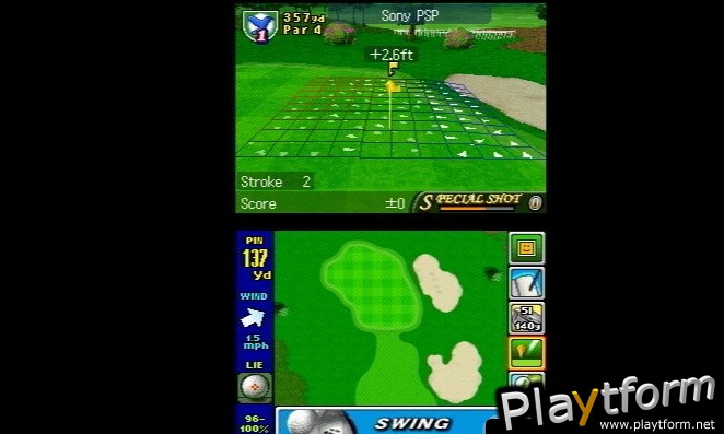 True Swing Golf (DS)