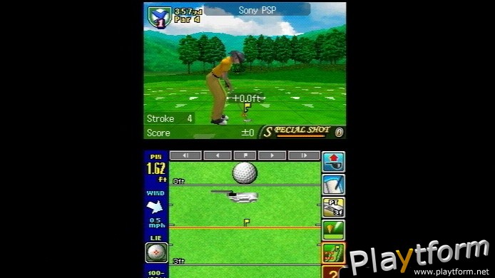 True Swing Golf (DS)