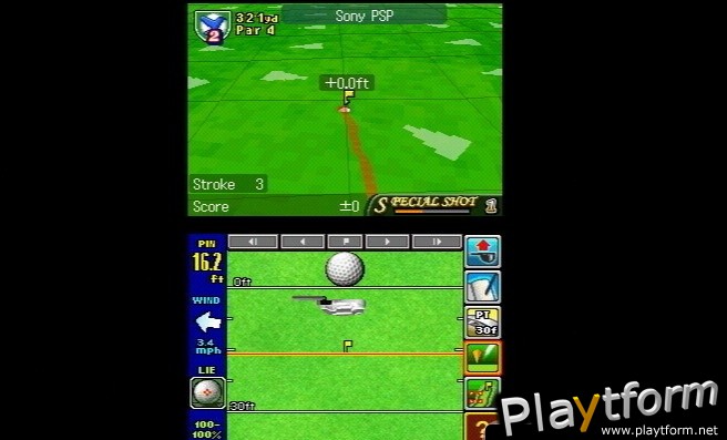 True Swing Golf (DS)