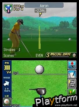 True Swing Golf (DS)