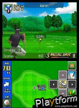 True Swing Golf (DS)