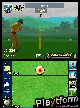 True Swing Golf (DS)