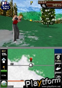 True Swing Golf (DS)