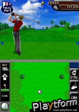 True Swing Golf (DS)