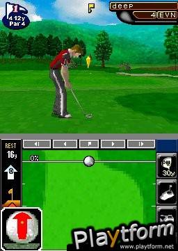 True Swing Golf (DS)