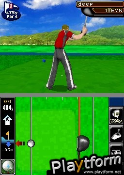 True Swing Golf (DS)