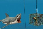 Jaws Unleashed (Xbox)