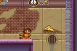 Garfield and His Nine Lives (Game Boy Advance)