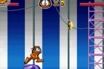 Garfield and His Nine Lives (Game Boy Advance)