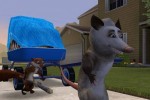 Over the Hedge (Xbox)