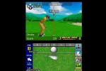 True Swing Golf (DS)