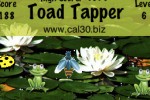 Toad Tapper (iPhone/iPod)