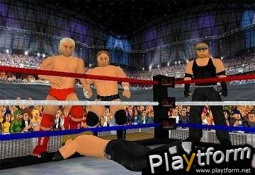 Wrestling Encore (PC)