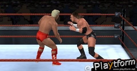 WWE SmackDown vs. RAW 2006 (PSP)