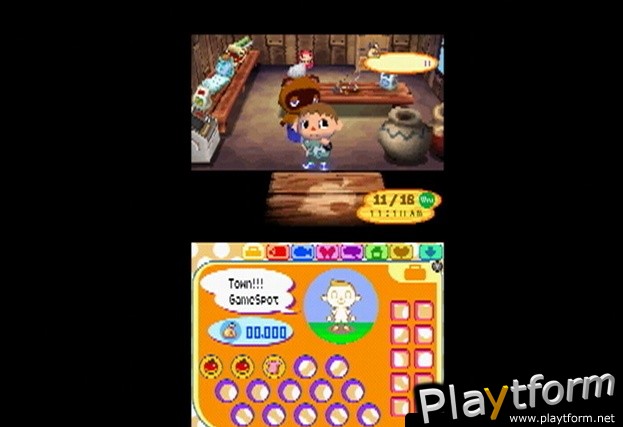 Animal Crossing: Wild World (DS)