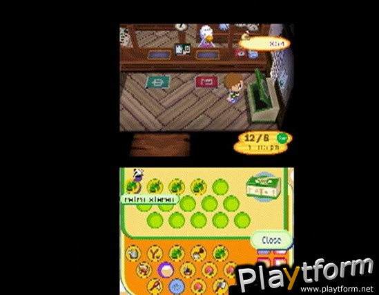 Animal Crossing: Wild World (DS)