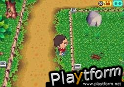 Animal Crossing: Wild World (DS)