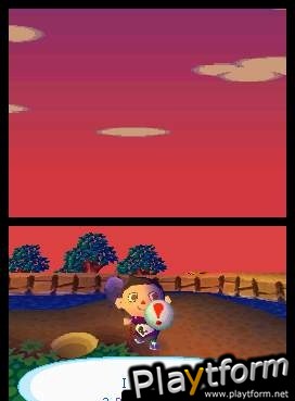 Animal Crossing: Wild World (DS)