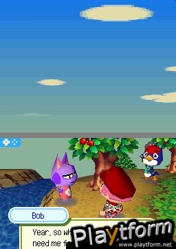 Animal Crossing: Wild World (DS)