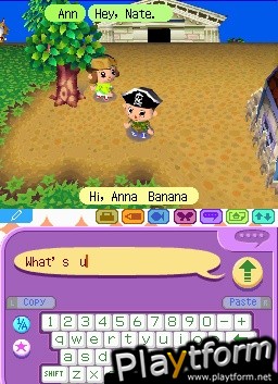 Animal Crossing: Wild World (DS)