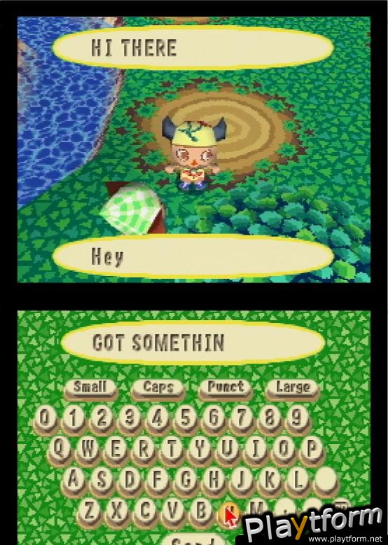 Animal Crossing: Wild World (DS)