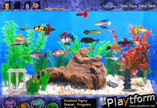 Fish Tycoon 1.0 (PC)