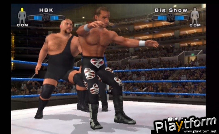 WWE SmackDown! vs. Raw 2006 (PlayStation 2)