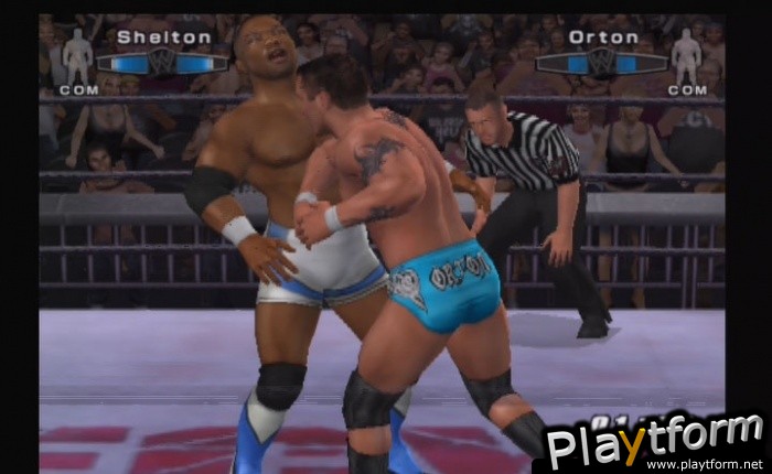 WWE SmackDown! vs. Raw 2006 (PlayStation 2)