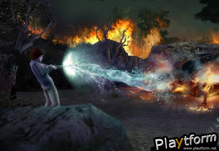 Harry Potter and the Goblet of Fire (PC)