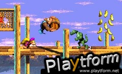 Donkey Kong Country 3 (Game Boy Advance)