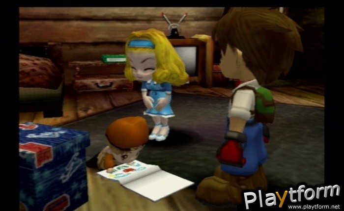 Harvest Moon: A Wonderful Life Special Edition (PlayStation 2)