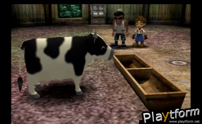 Harvest Moon: A Wonderful Life Special Edition (PlayStation 2)