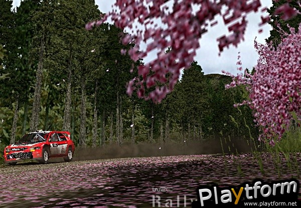 WRC: Rally Evolved (PlayStation 2)