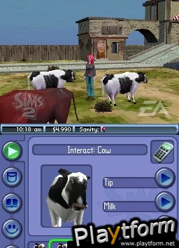 The Sims 2 (DS)