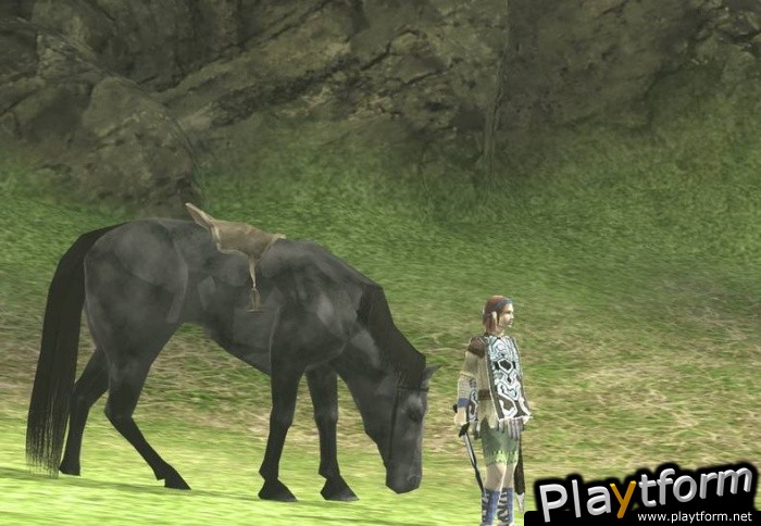 Shadow of the Colossus (PlayStation 2)